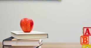 4 Rekomendasi Aplikasi Inventaris Barang Sekolah Terbaru