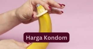 Harga Kondom