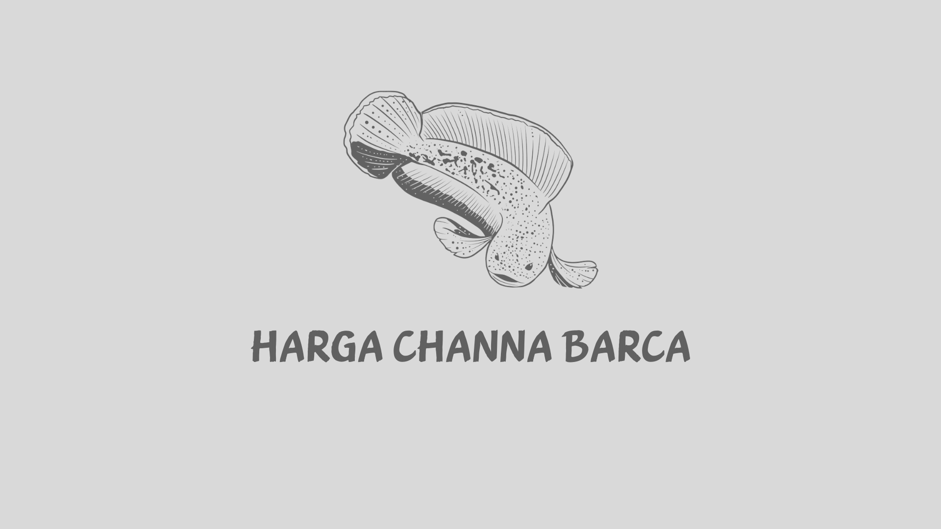 Harga Channa Barca